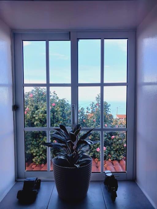 Achadas Da Cruz Farm House Экстерьер фото
